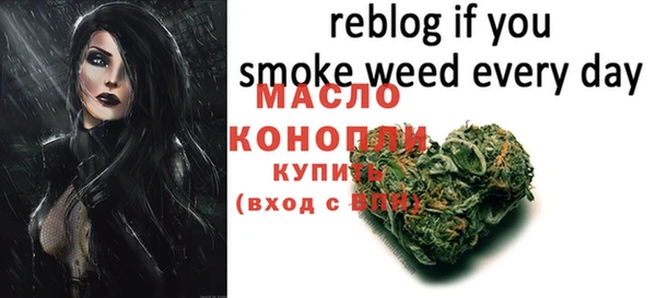 крисы Новокубанск