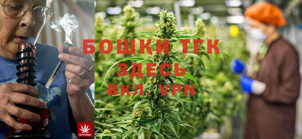 крисы Новокубанск