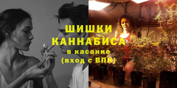 крисы Новокубанск