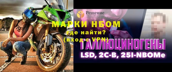 крисы Новокубанск