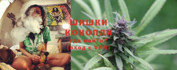 крисы Новокубанск
