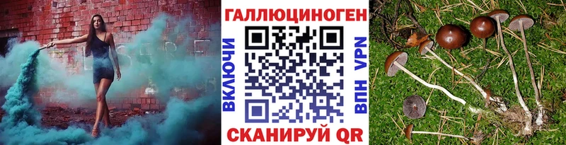 Купить  Сальск  Псилоцибиновые грибы мицелий 