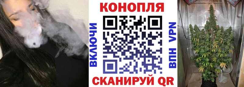 Купить закладки  Сальск  МАРИХУАНА VHQ 